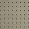 DOTS 31037